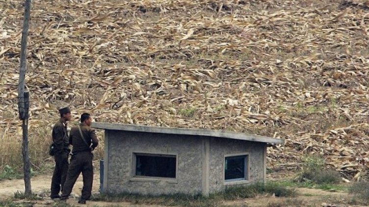 Снимка: Getty Images/Guliver Photos