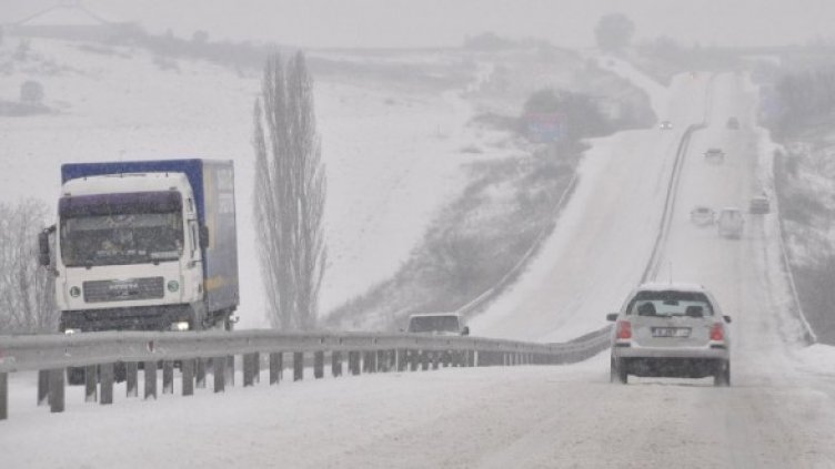 Снимка: Булфото
