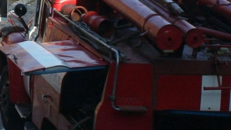 Снимка: Булфото