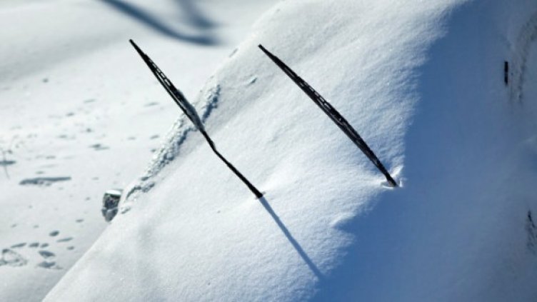 Снимка: Getty Images/Guliver Photos