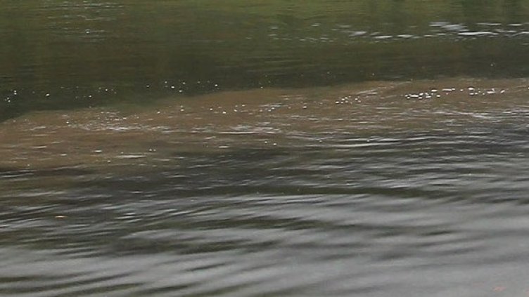 Снимка: Getty Images/Guliver Photos