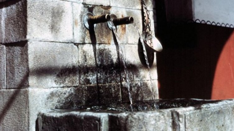 Снимка: Булфото