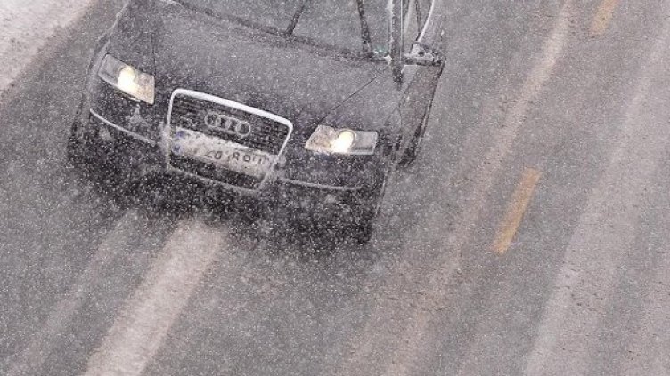 Снимка: Булфото