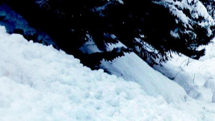 Снимка: Булфото