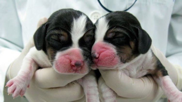 Снимка: Getty Images/Guliver Photos