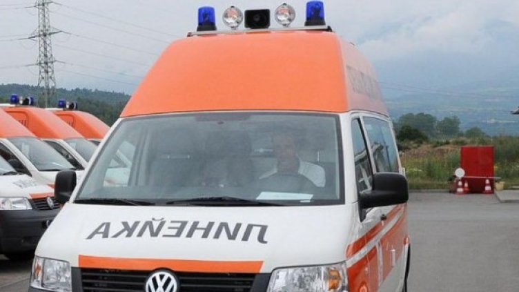 Отровата засегнала всички вътрешни органи. Снимка: Булфото