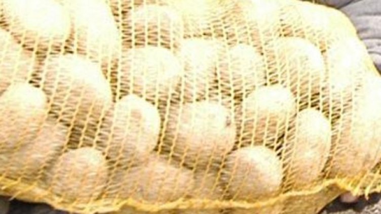 Снимка: Булфото