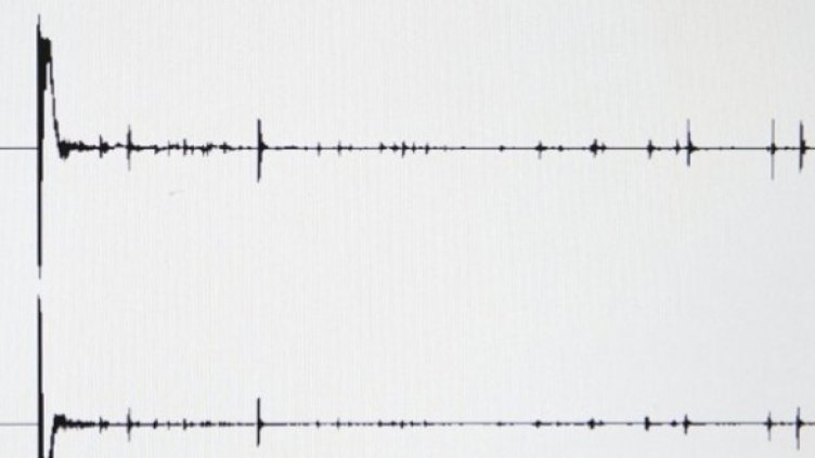 Снимка: Getty Images/Guliver Photos