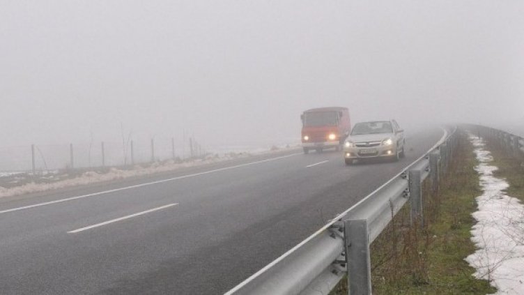 Снимка: Булфото