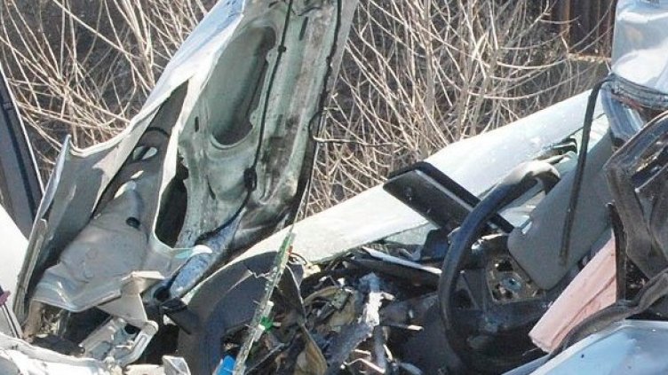 Снимка: Булфото