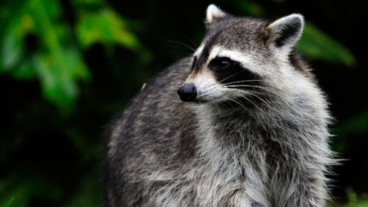 Снимка: Getty Images/Guliver Photos