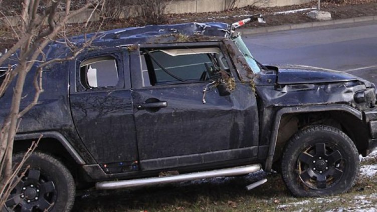 Снимка: Булфото