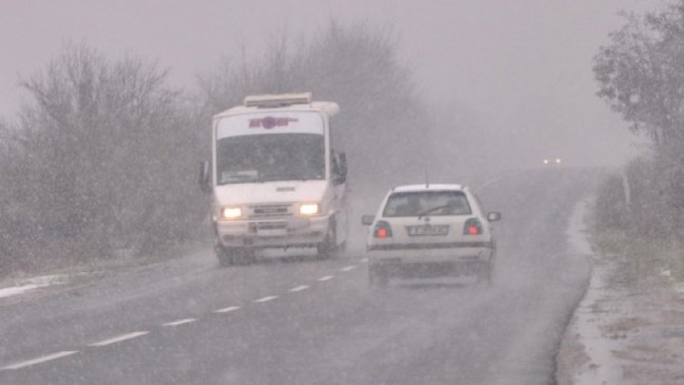 Снимка: Булфото