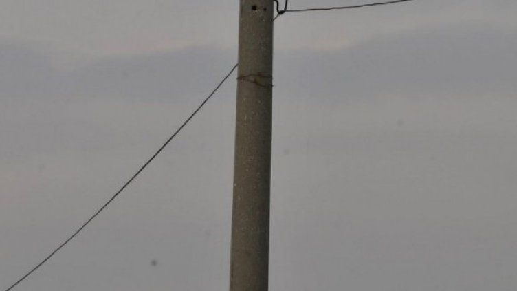 Снимка: Булфото