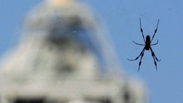 Снимка: Getty Images/Guliver Photos