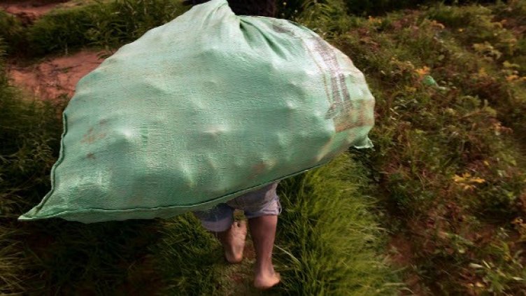 Снимка: Getty Images/Guliver Photos