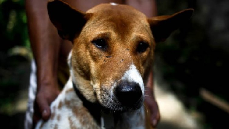 Снимка: Getty Images/Guliver Photos