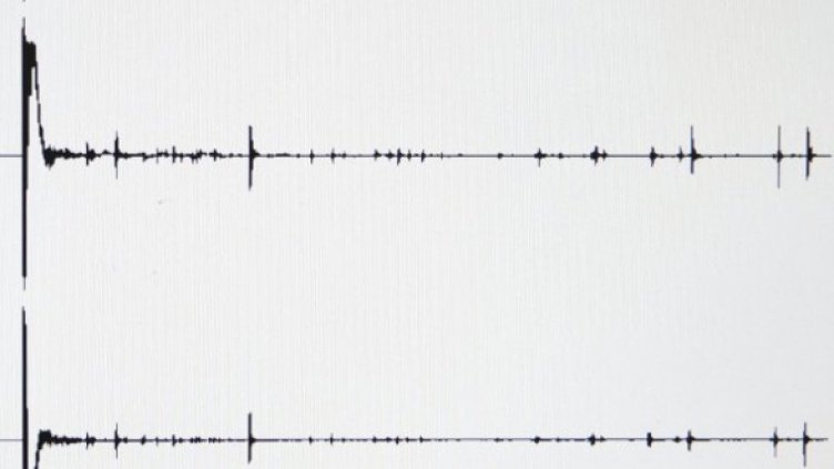 Снимка: Getty Images/Guliver Photos