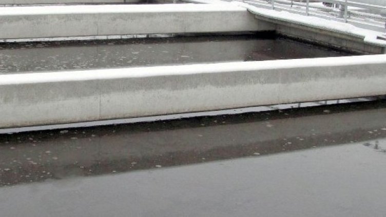 Снимка: Булфото