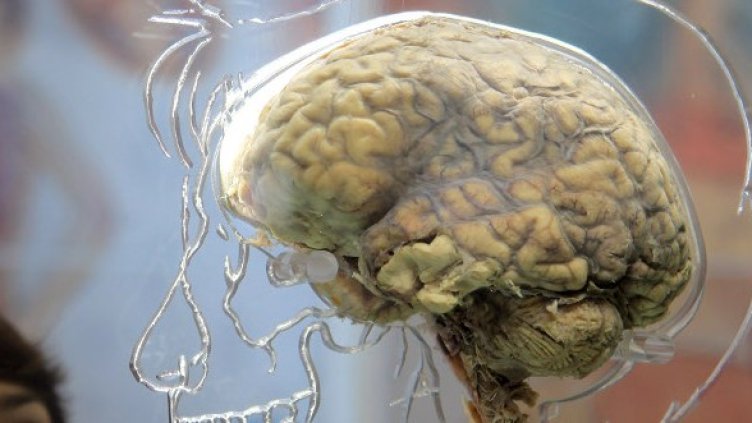 Снимка: Getty Images/Guliver Photos