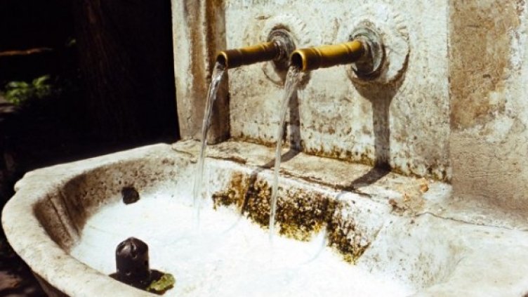 Снимка: Булфото