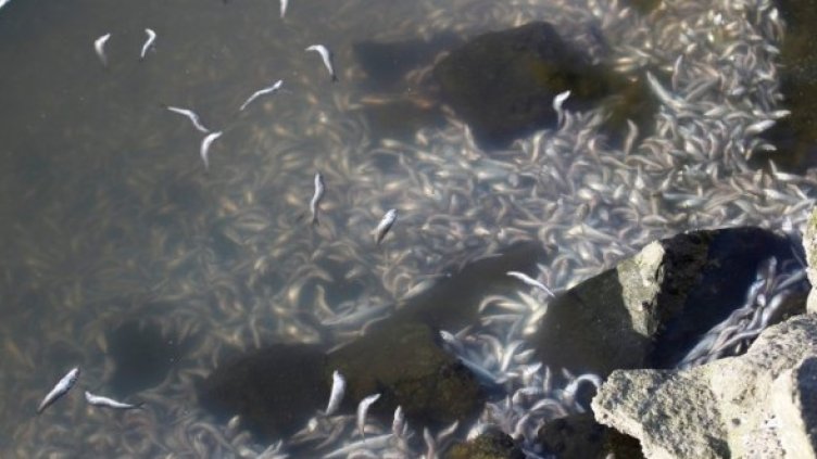 Снимка: Ройтерс