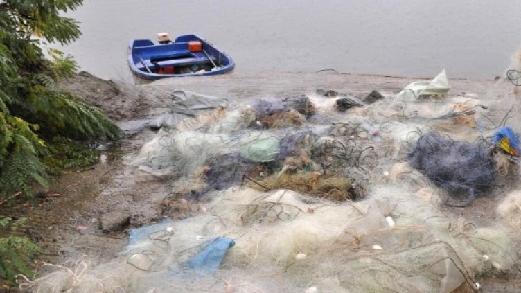 Снимка: Булфото