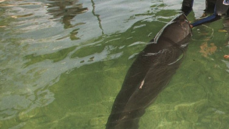 Снимка: Getty Images/Guliver Photos