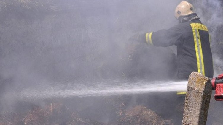 Снимка: Булфото