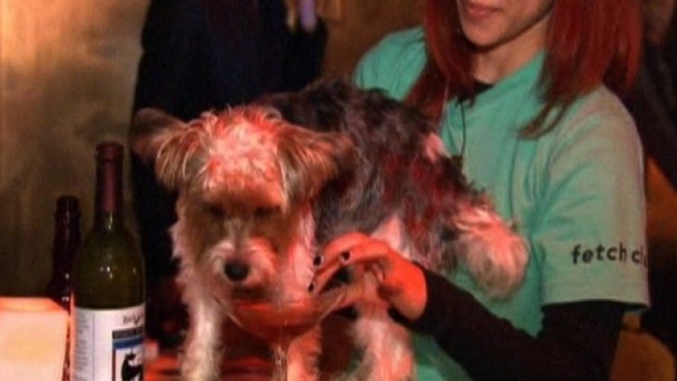 Някои наистина са си надвили на масрафа...