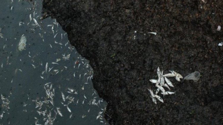 Снимка: Булфото