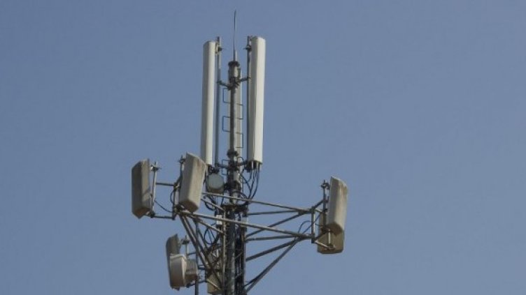 Снимка: Булфото