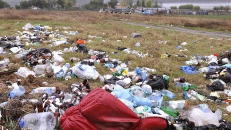 Снимка: Булфото