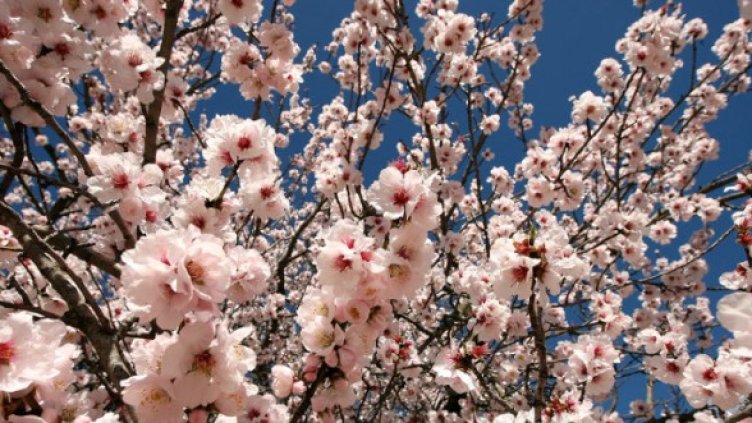 Снимка: Getty Images/Guliver Photos