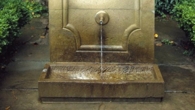 Снимка: Булфото