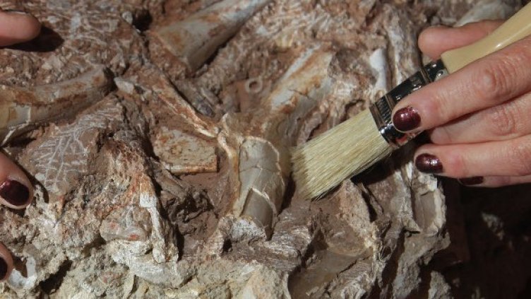 Снимка: Getty Images/Guliver Photos