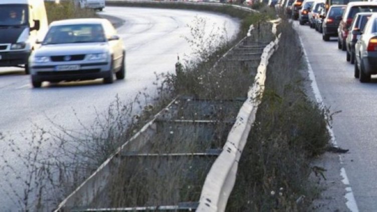 Снимка: Булфото