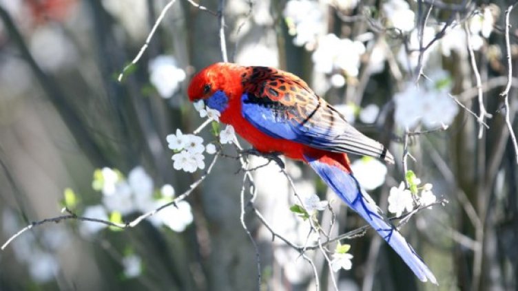 Снимка: Getty Images/Guliver Photos