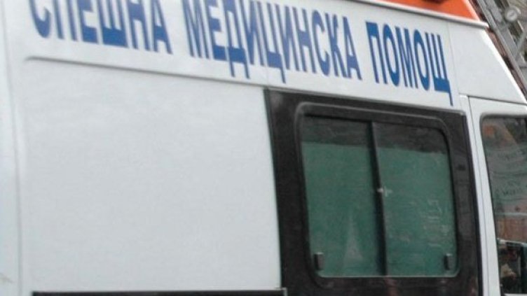 Снимка: Булфото