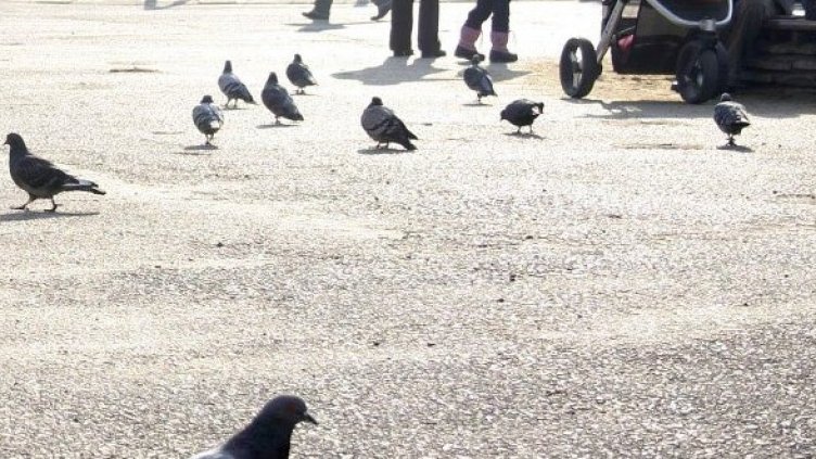 Снимка: Булфото