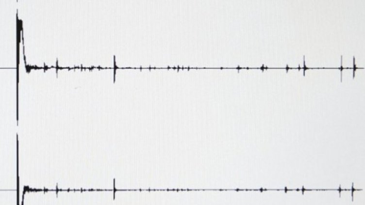 Снимка: Getty Images/Guliver Photos