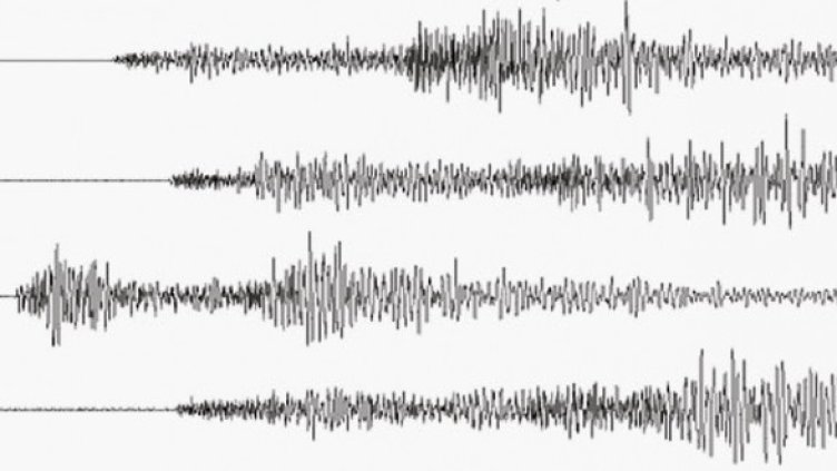 Снимка: Getty Images/Guliver Photos