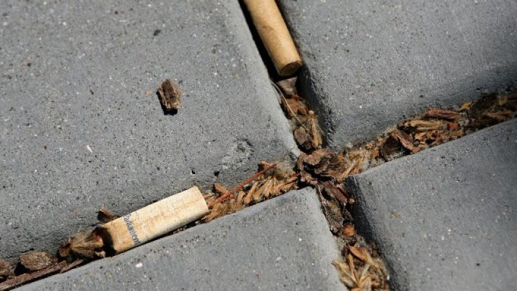 Снимка: Getty Images/Guliver Photos