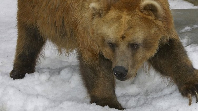 Снимка: Getty Images/Guliver Photos
