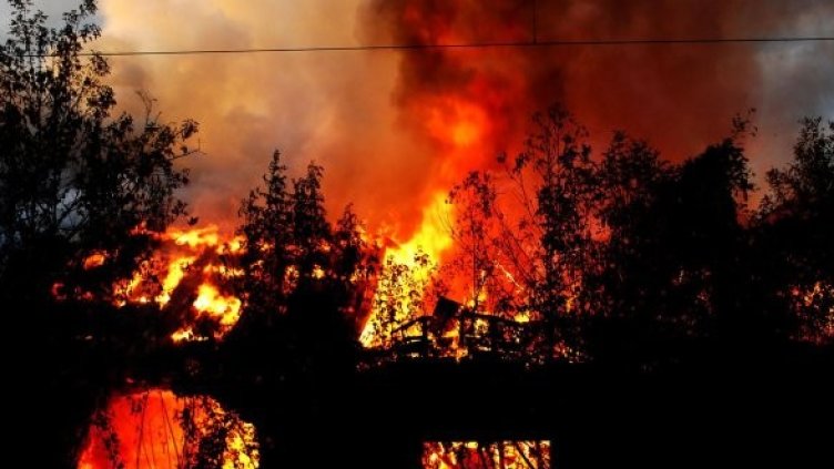 Снимка: Булфото