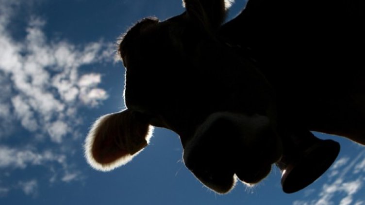 Снимка: Getty Images/Guliver Photos