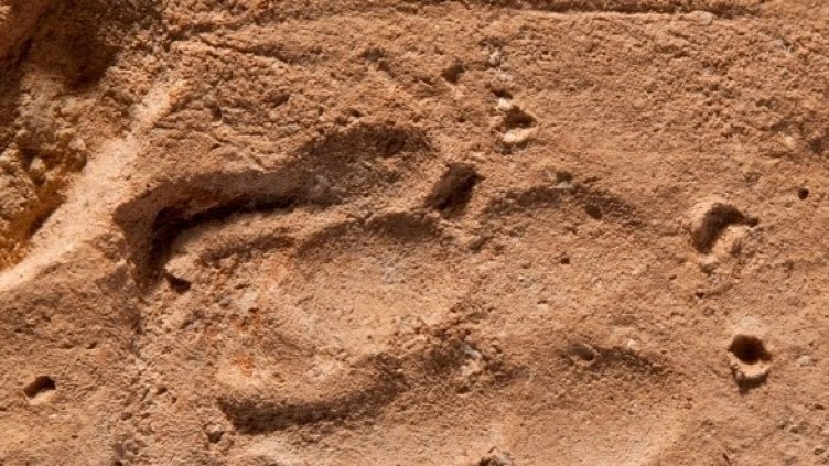 Снимка: Getty Images/Guliver Photos