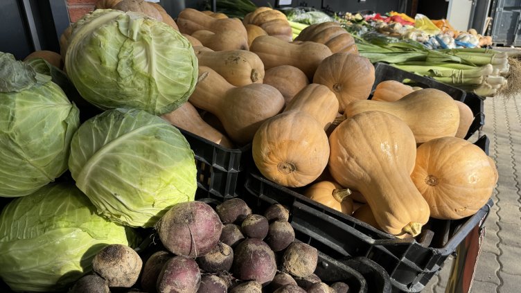 Снимка: архив, БГНЕС