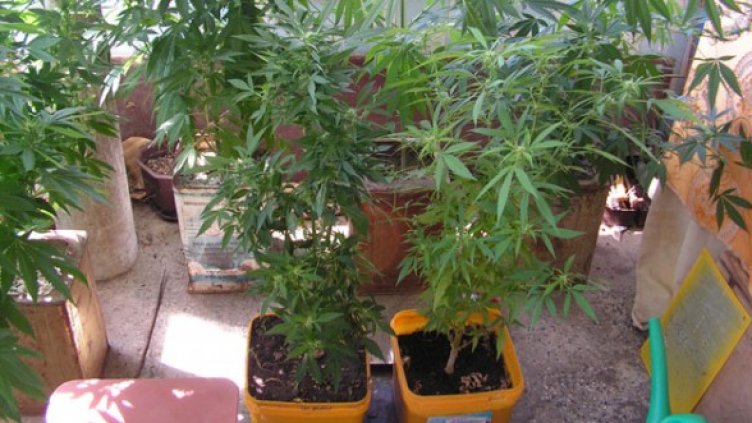 Снимка: МВР