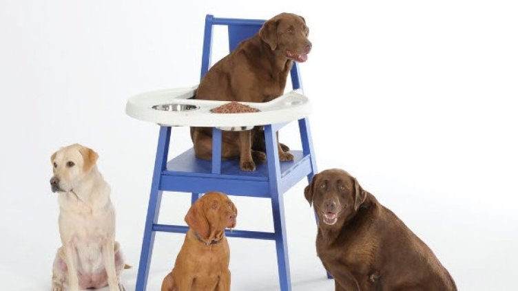 Снимка: Getty Images/Guliver Photos